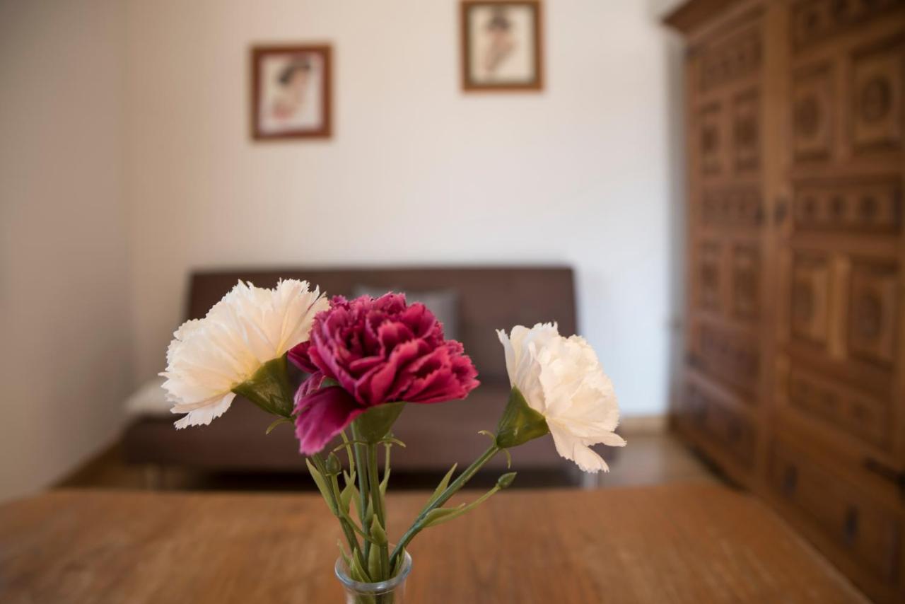 Apartamentos Alegria Σαντιγιάνα ντελ Μαρ Εξωτερικό φωτογραφία